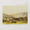 Recherche de la tribu cartes postales Natif