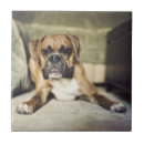 Search for boxer tiles Usa