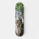 Recherche de chaton skateboards Félin