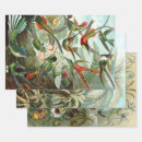 Recherche de haeckel papier cadeau Floral