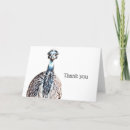 Search for big bird thank you cards Ostrich