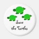 Search for turtle magnets Save the turtles