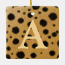 Search for spots ornaments Wildlife