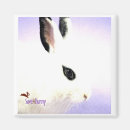 Recherche de brouillé magnets Lapin