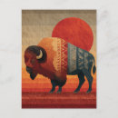 Search for native bison buffalo postcards Western