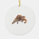 Search for life is good ornaments Turtle
