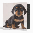 Search for miniature binders Animals