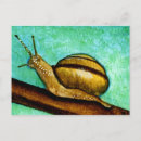 Recherche de snails cartes postales Limace