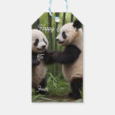 Search for bamboo gift tags Forest