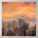 Search for bare trees posters Landscape