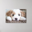 Search for baby canvas prints Puppy