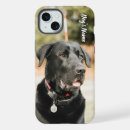 Search for black labrador iphone cases Dog