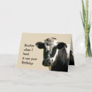 Search for funny cow jokes postcards Holstein