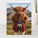 Search for highland cow cards Tartan