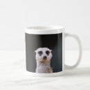 Recherche de timon tasses Animal