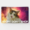 Search for cat banners Funny