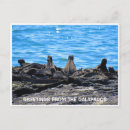 Recherche de iguane cartes postales Reptile