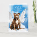 Search for pitbulls home living Dogs