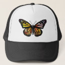 Search for monarchs hats Butterfly
