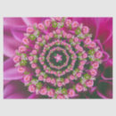 Search for pink christmas tissue paper Holly