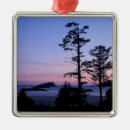 Search for vancouver ornaments Nature