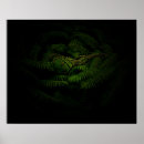 Search for fern posters Texture