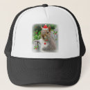 Search for gray squirrel hats Grey