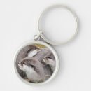 Search for cute otter keychains Wild animals