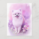 Recherche de pomeranian posters Rose