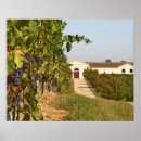 Search for cultivation posters Grow