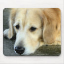 Search for golden retriever mousepads Dog