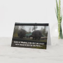 Recherche de hippopotame drôle vœux cartes Mignon