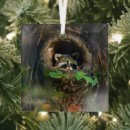 Search for raccoon ornaments Woodland