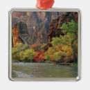 Search for fall ornaments Colourful