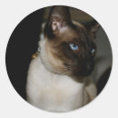 Recherche de domestiqué autocollants Animaux domestiques