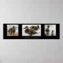 Search for cute duck posters Baby