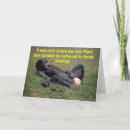 Search for chimpanzee postcards Naughty