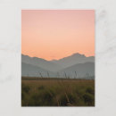 Recherche de herbe sauvage cartes postales Photographie de la nature
