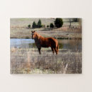 Search for beautiful horse puzzles Equine