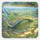 Search for river fish stickers Fisherman
