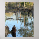 Recherche de paysage marin posters Nature