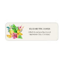 Search for orange leaf stickers Palm leaves