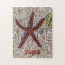 Search for starfish puzzles Summer