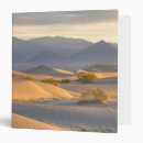 Search for depression binders Photography