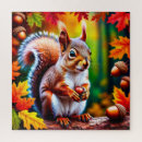 Recherche de écureuil puzzles Mignon