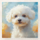 Search for adorable coasters Dog