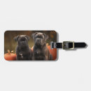 Recherche de cannes bagages étiquettes Chiot