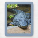 Recherche de crocodiles tapis souris Pour tous