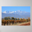 Recherche de vignoble posters Andes