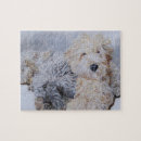 Recherche de labradoodle puzzles Goldendoodle